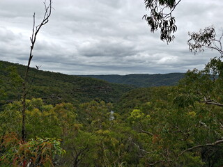 Beautiful morning view of a mountains and valleys with tall trees and dark clouds, Ku-ring-gai Chase National Park, New South Wales, Australia