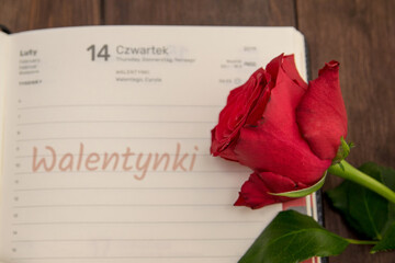 Walentynki - 14 lutego. Dzień Zakochanych © shake_pl