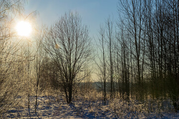 frosty winter landscape