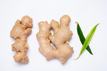 Fresh ginger rhizome root used in traditional medicines and for flavoring meals isolated on white