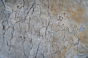 dark stone background with vein