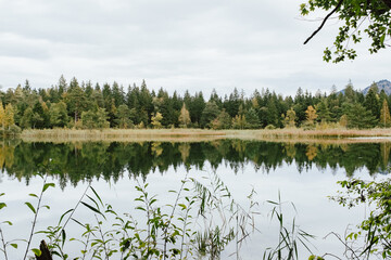 Perfect water reflection on a lake full of trees. Autumn vibes