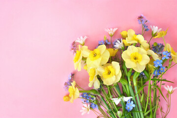 Spring blossoming daffodils, tulips and flowers light bright background, pastel and soft springtime floral card	