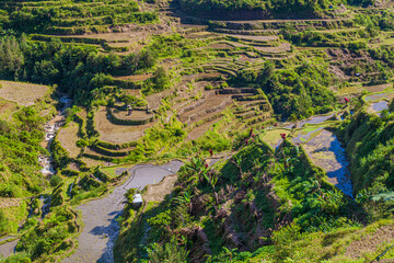 Obraz premium Rice terraces near Banaue village on Luzon island, Philippines