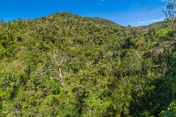 Obraz premium Forest covered mountains near Banaue, Philippines