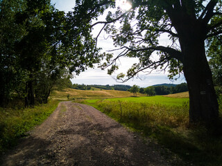 The trail to the Chelmiec Mountain - Walbrzych City - Poland
