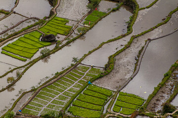 Fototapeta premium Aerial view of Batad rice terraces, Luzon island, Philippines