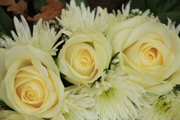 white wedding roses