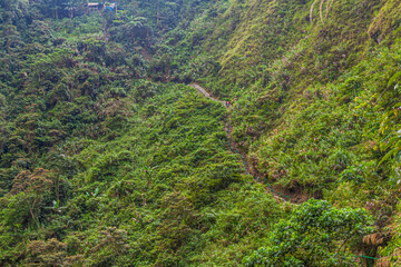 Fototapeta premium Steep trail to Tappiya Falls near Batad village, Luzon island, Philippines