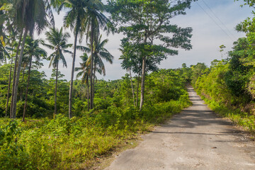 Country road on Siquijor island, Philippines.