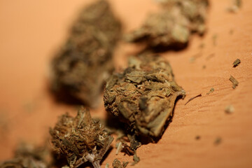 Medical marihuana pharmaceutical use cbd super lemon haze close up modern high quality prints