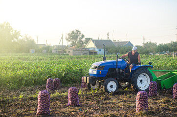 Farmer on a tractor drives across field and harvests potatoes. Farming and farmland. Use...