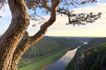 Fototapeta na wymiar Ausblick von der Bastei hinunter zur Elbe