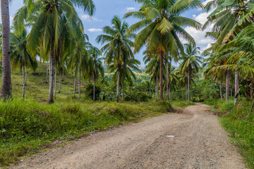 Fototapeta na wymiar Country road on Bohol island, Philippines