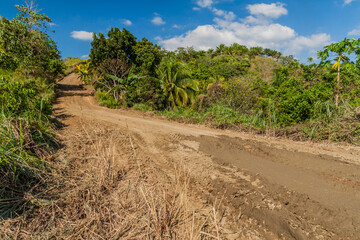 Fototapeta na wymiar Muddy country road on Bohol island, Philippines