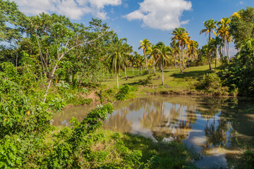 Landscape of Bohol island, Philippines