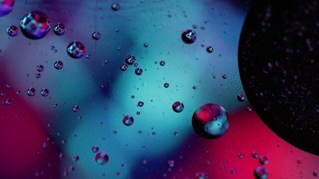 Abstract multicolor background with bubbles. Colorful bright organic backdrop. Oil drops in water with abstract blurred light on background. Dynamic flow with bubbles