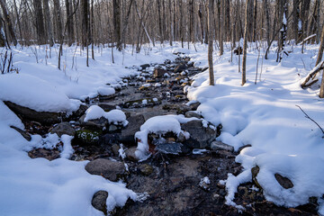 Frozen creek running through the woods, with snow covered rocks and logs. Taken in William O'Brien State Park Minnesota