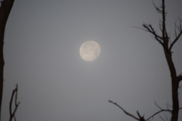 Full moon on a foggy night