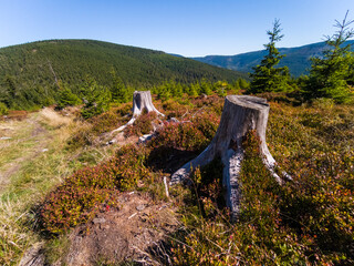 Jesień na Górze Śnieżnik - Karpaty - Polska