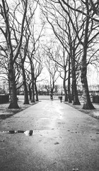 Black and white image of park path.