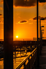 釣り人と朝焼け