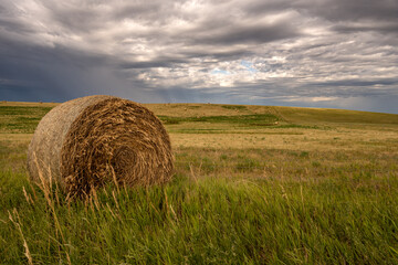 Hay Bale Sitting in Field with Copy Space