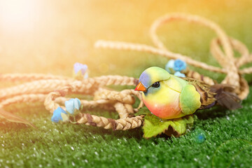  Bird on green grass with sunshine orange natural background.