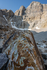Lichen Covered Rock Mimics Wheeler Peak In the Distance