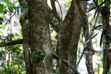 Unedited photo of bird