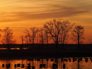 winter sunset over Chesapeake Bay