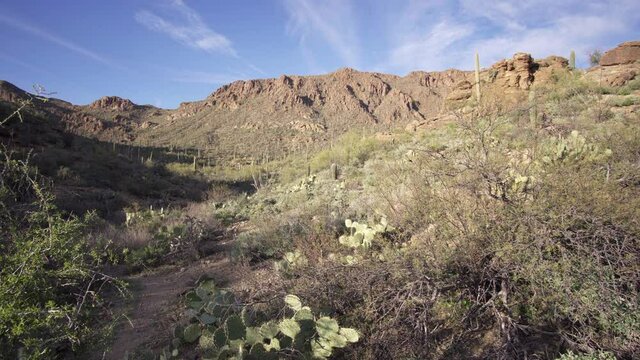 Wilderness desert at West Gate Pass Road at Tucson Mountain Park, AZ, USA. Panorama right to left.