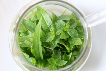 フレッシュハーブティ