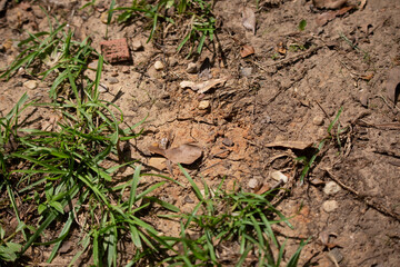 Ground Drought Conditions