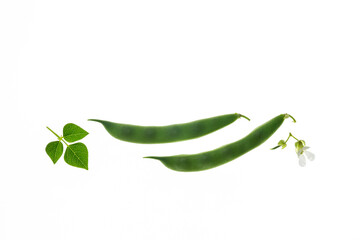 closeup of fresh green runner bean pods with leaves isolated on white background