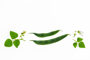 closeup of fresh runner bean pods on white background with copy space above
