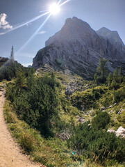 .Hiking trail with trees in late summer and autumn close to mountain pass. Kranjska Gora, Slovenia,...