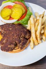 Burger and Fries