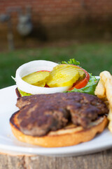 Hamburger and Fries