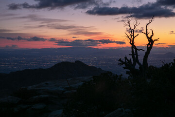 Tucson Sunset from Mt Lemmon