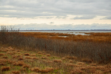Verrazzano-Narrows Bridge viewed from Jamaica Bay, Queens