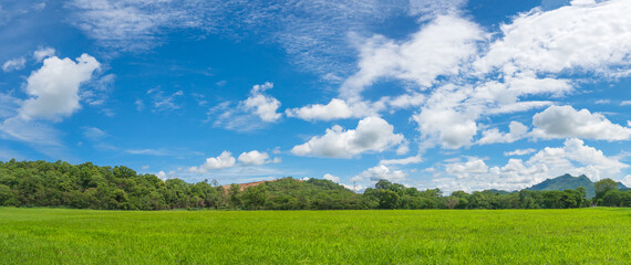 Panorama landscape view of green grass field agent blue sky
