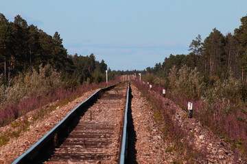 A section of the Amur-Yakutian Railroad built on permafrost, near Yakutsk