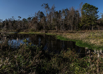 BEAUVOIR : Historic final home and estate of Jefferson Davis in Biloxi Mississippi with statues of the occupants.
