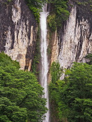 岡山井倉洞、井倉滝とモサモサ。