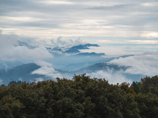 Fog and clouds are covering the forests and Layered Mountains