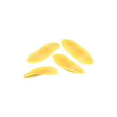 Mango dried fruits, dry food and candied fruit sweets, vector isolated icon. Candied mango succades, sweet desserts and confection crystallized glace fruits food