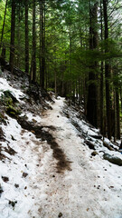 Snowy mountain trail