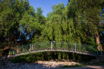 Obraz premium bridge with forestation in the background