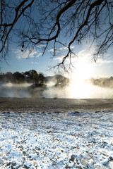 冬の熊本　浮島神社